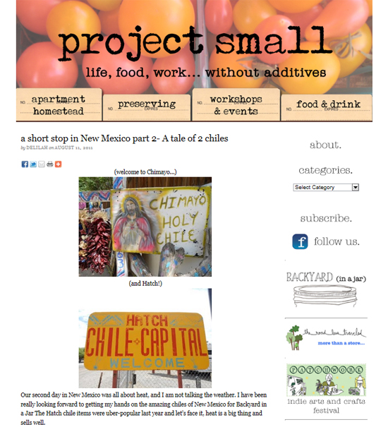 The newly redesigned Project Small blog